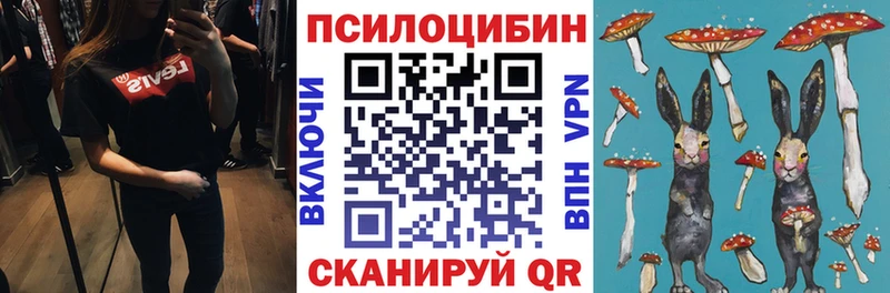 Псилоцибиновые грибы MAGIC MUSHROOMS  купить наркоту  Гаврилов-Ям 