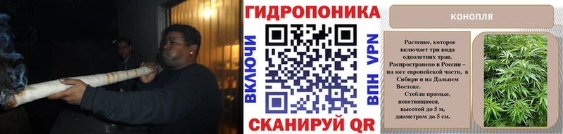 дарнет шоп  Гаврилов-Ям  Каннабис планчик 